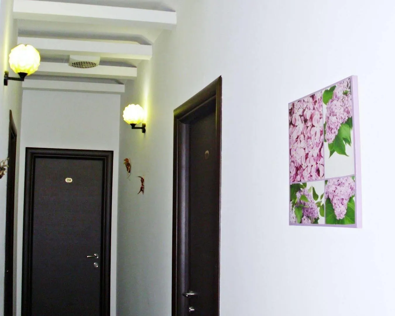Jolly City Center Hotel Tiran 3*,